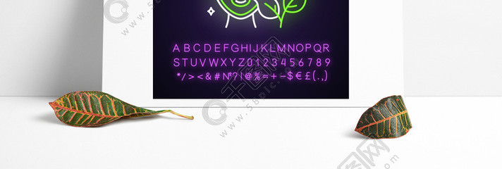 植物護膚新紀元 解碼有機保濕產(chǎn)品的科技與美學(xué)